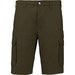 Light Khaki