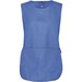 Light Royal Blue