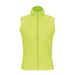 Fluorescent Yellow