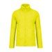 Fluorescent Yellow
