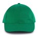 Kelly Green/Black