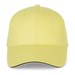 Lemon Yellow/Dark Grey