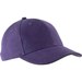 Purple/Dark Grey