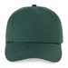 Sycamore Green