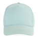Ice Mint