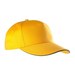 Yellow/Dark Grey