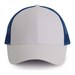 White/Royal Blue