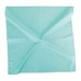 Turquoise Green
