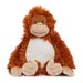 Orangutan