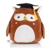 Squidgy Wise Owl