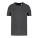 Iron Grey