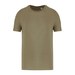 Light Olive Green
