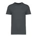 Iron Grey