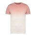 Dip Dye Petal Rose