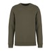 Organic Khaki