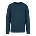 Peacock Blue