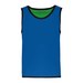 Sporty Royal Blue/Green