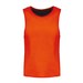 Spicy Orange/Black
