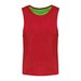 Sporty Red/Fluorescent Green
