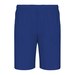 Dark Royal Blue