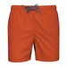 Crush Orange