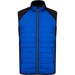 Dark Royal Blue/Black