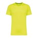 Fluorescent Yellow