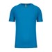 Aqua Blue