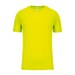 Fluorescent Yellow