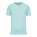 Ice Mint