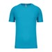 Light Turquoise