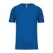 Sporty Royal Blue