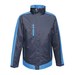 Navy/New Royal