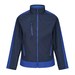 Navy/New Royal