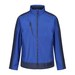New Royal/Navy