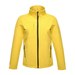 Bright Yellow/Black