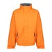 Sun Orange/Seal Grey