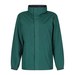 Bottle Green/Seal Grey