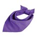 Dark Purple