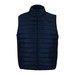 French Navy