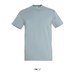 Ice Blue