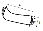 Skica mer